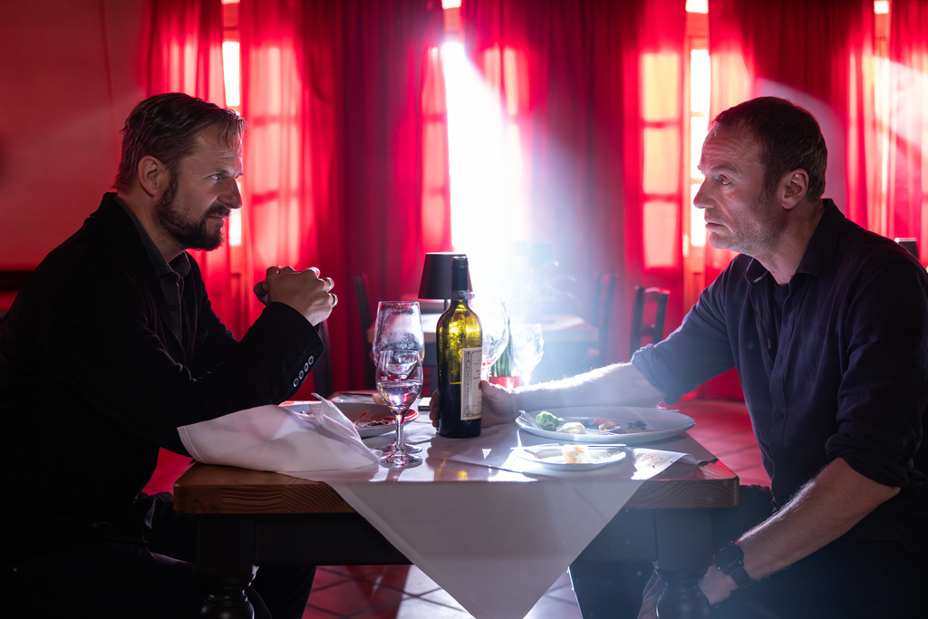 DER GEIER – FREUND ODER FEIND